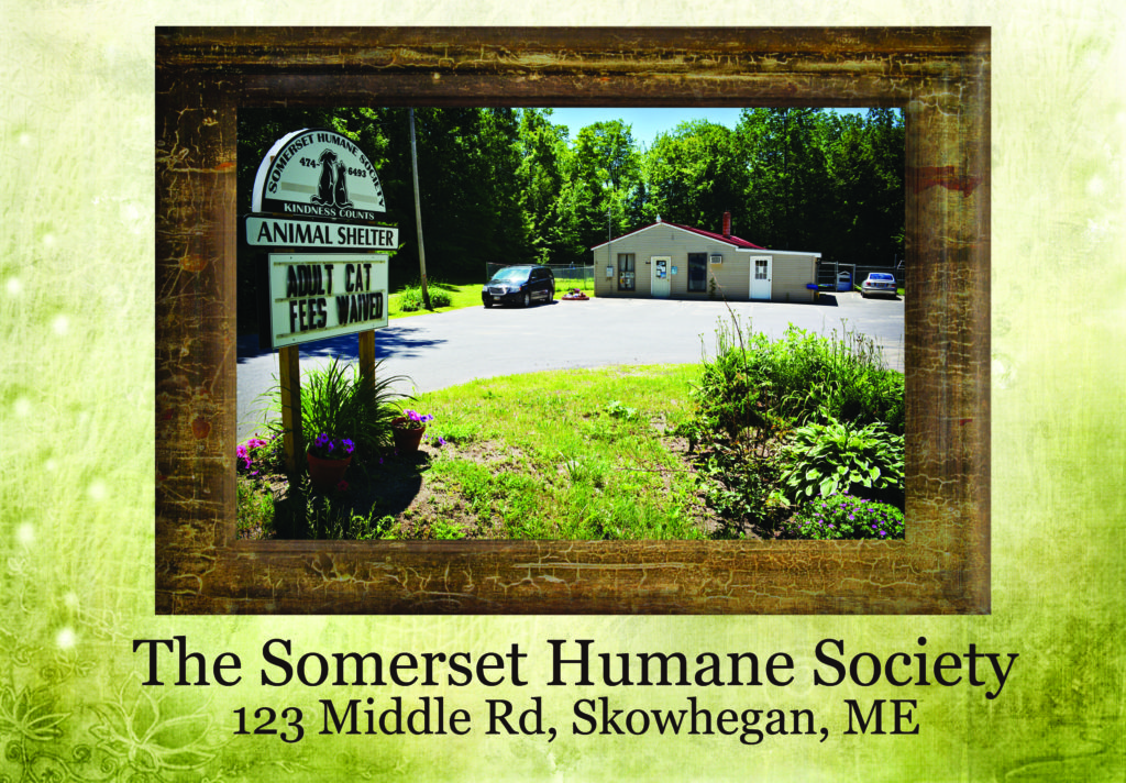 Somerset Humane Society Somerset Humane Society Animal Shelter