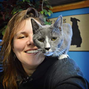 somerset humane society