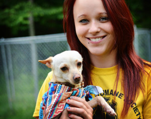 somerset humane society
