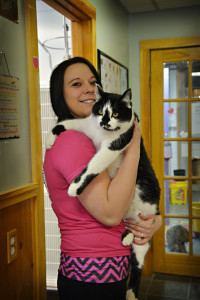 somerset humane society