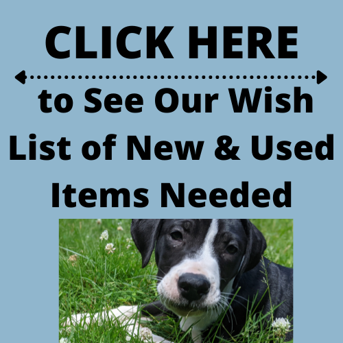 Click the image above to go to our Wish List, which includes used and new items that we use frequently at the shelter.