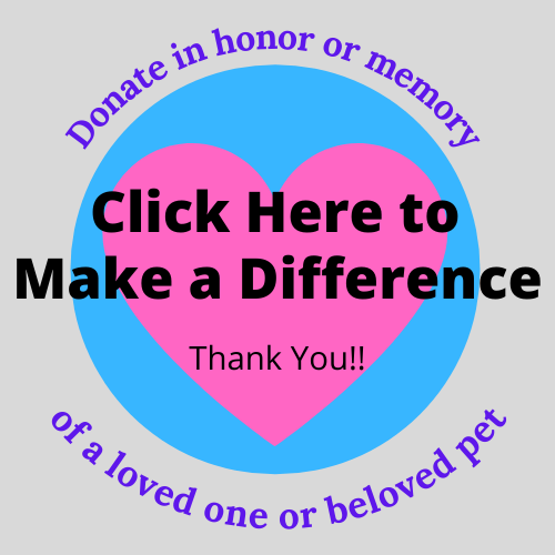 Make a donation in honor of someone special or in memory of a pet or loved one through PayPal by clicking the image above. Be sure to include the name of the individual for whom you are making the donation as well as an address of the honoree or next of kin to inform them of a contribution made in their or their loved one’s name.
